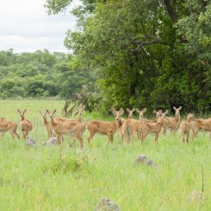 _D203172 photo print