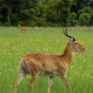 _D203189 photo print