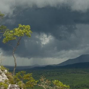 _D204406 photo print