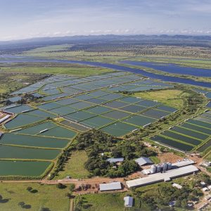 DJI_0050 photo print