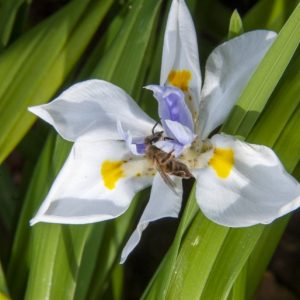 _DSC7426 photo print