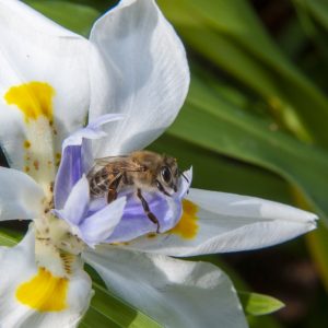 _DSC7441 photo print