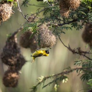 DSC_0207 photo print