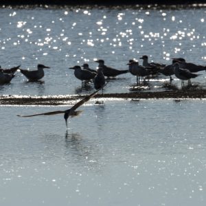 DSC_1895 photo print