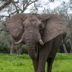 DSC_2880 photo print