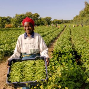 Front cover 2 photo print