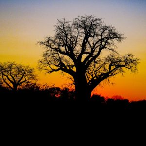 IMG_6127 photo print