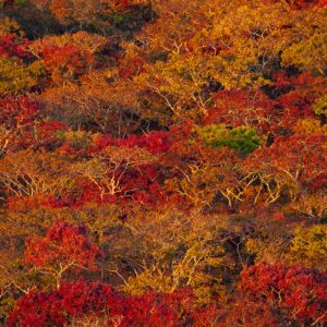 _KA27609 photo print