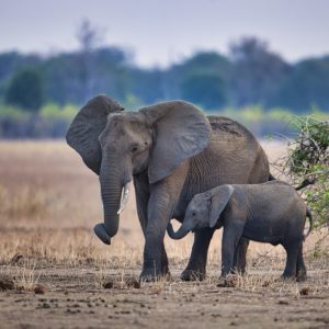 _KA28099 photo print