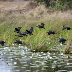 _KNP2540 photo print