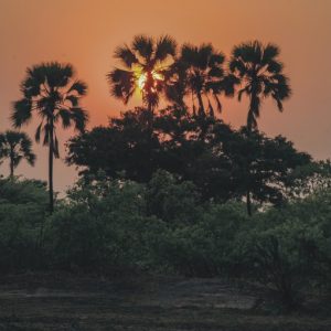 KNP_3KP2661-44254 photo print