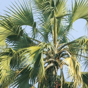 KNP_K6X1723-44437 photo print