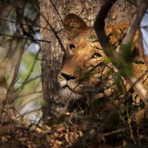 KNP_K6X2049-45154 photo print