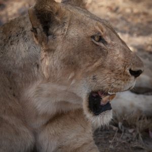 KNP_K6X2066-45183 photo print