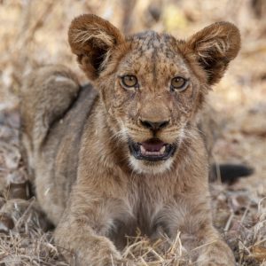 KNP_K6X2187-45417 photo print