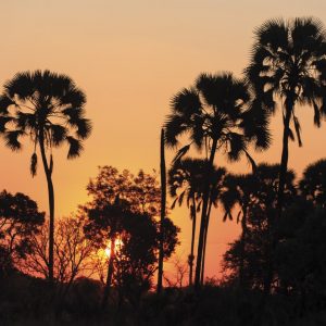 KNP_K6X2363-75 photo print