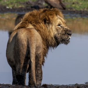 KNP_K6X3260-47458 photo print