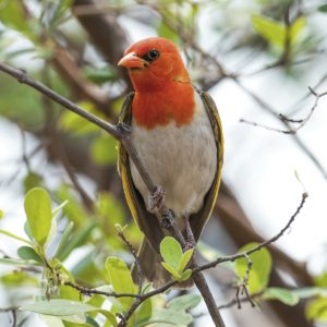 KNP_KP21947-43046 photo print