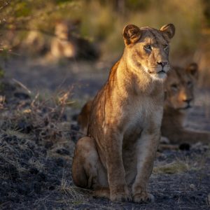 KNP_KPF1827-26444 photo print