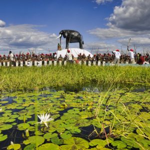 _KU30366 photo print