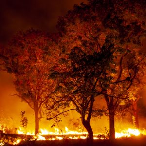 _MAD0104 photo print