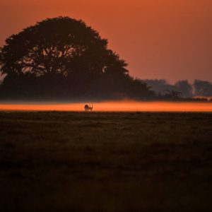 _MAD7005 photo print