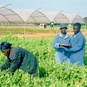 Training couple photo print
